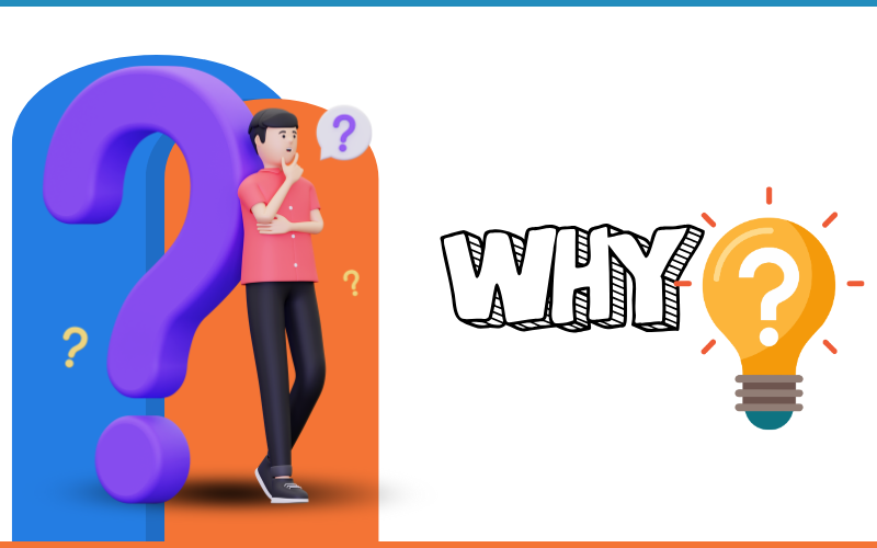Why Choose Us 