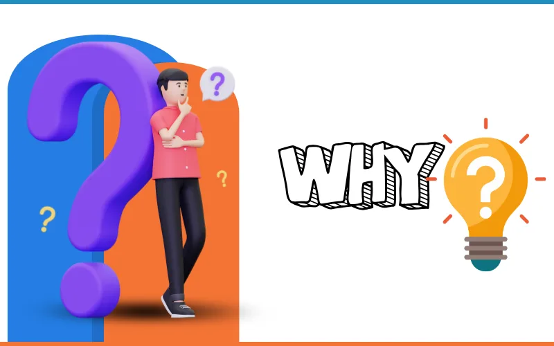 Why Choose Us 